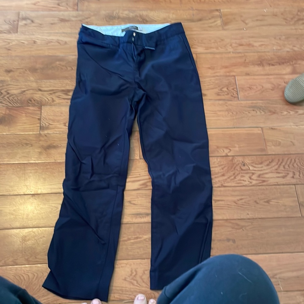 Dress pants
